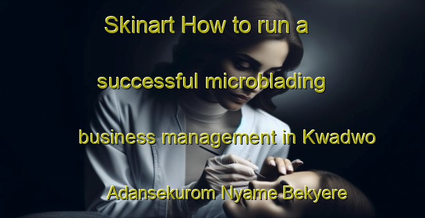 Skinart How to run a successful microblading business management in Kwadwo Adansekurom Nyame Bekyere Number Two area | MicrobladingTraining | MicrobladingClasses | SkinartTraining-Ghana